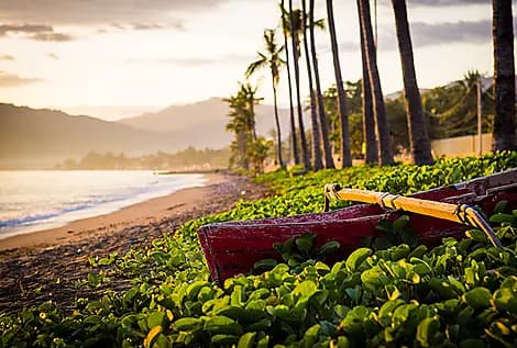 Feb 12, 27 - Dili, Timor Leste