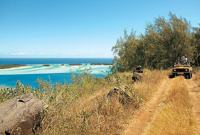 Aito Off-Road safari