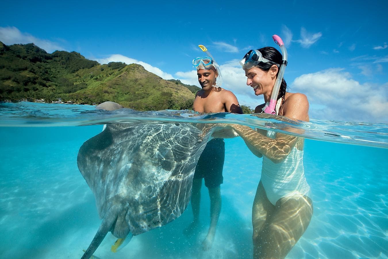 Sharks & stingrays encounter