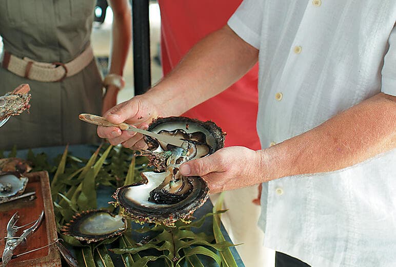 Island tour & snorkelling*