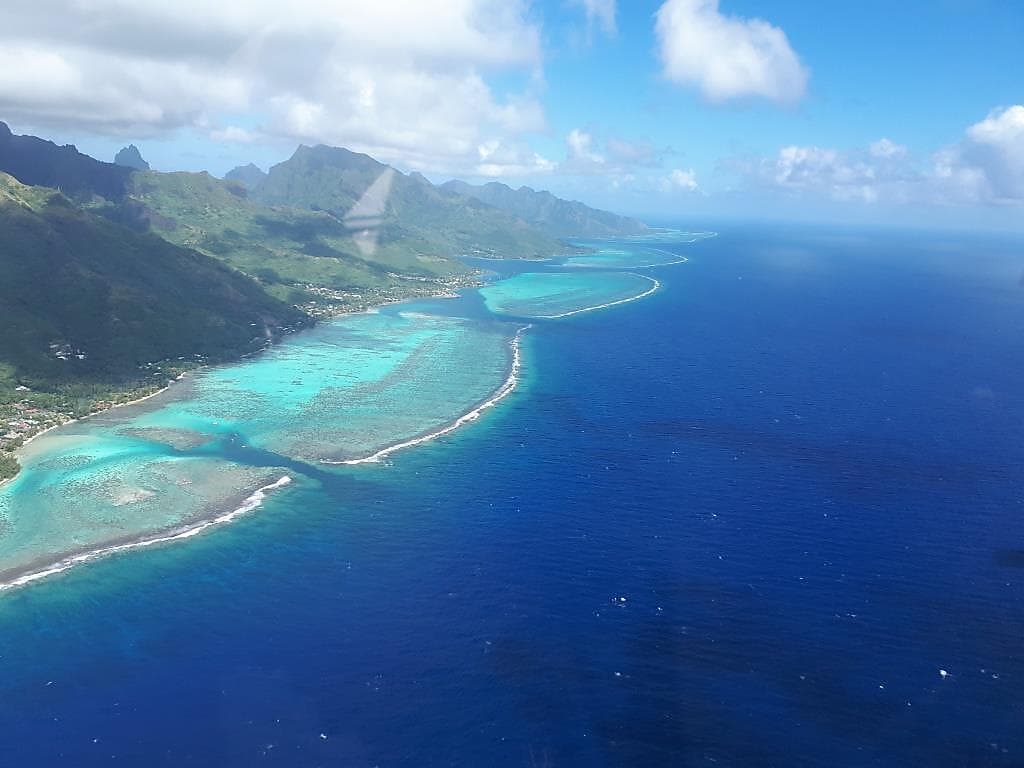 By plane: Scenic flight and pilot lesson Moorea & Tetiaroa (60 minutes flight)*