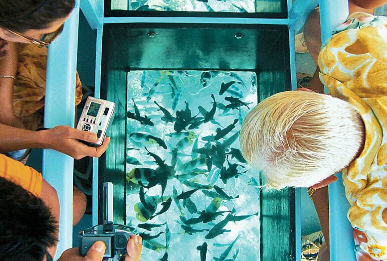 Glass-bottom boat (Bora Bora)