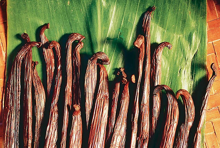 Exploration of Taha'a